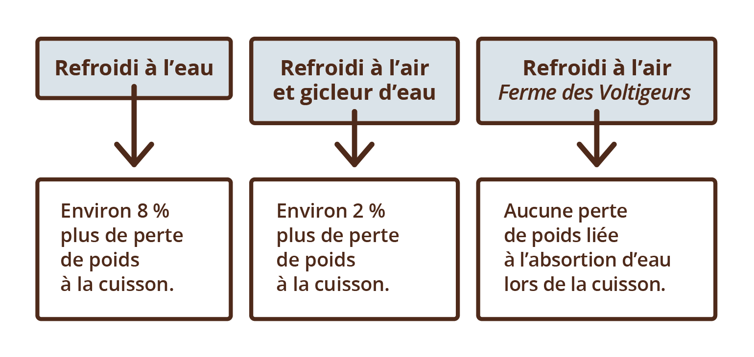 refroidissement 00b37